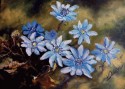 wood flowers